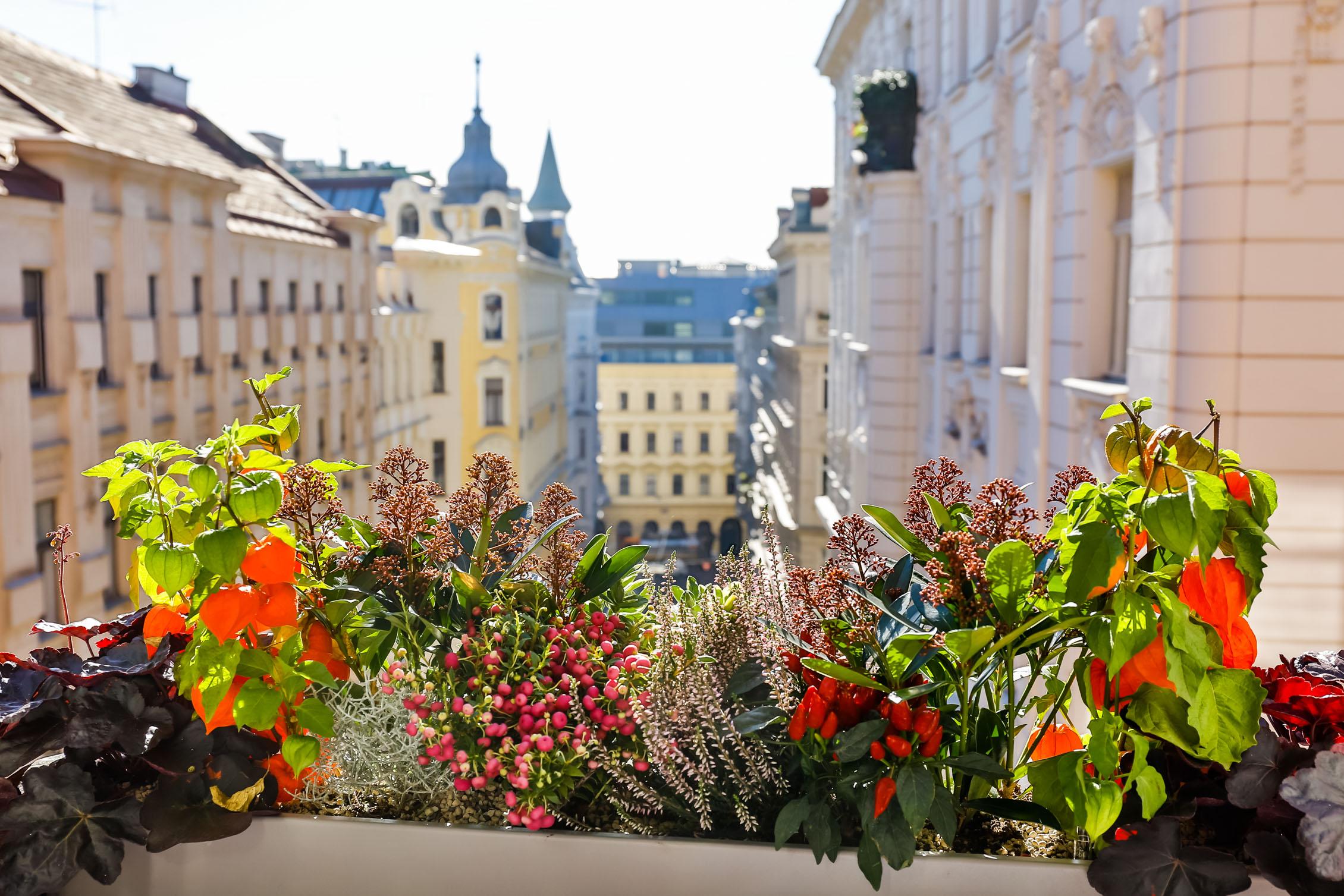 Boutiquehotel Das Tyrol Відень Екстер'єр фото